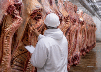 El Gobierno anunció la Cuota Hilton 2026/2027: claves del nuevo reparto para frigoríficos
