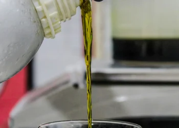 La industria aceitera reclama una nueva ley de biocombustibles y advierte por la brecha con Brasil