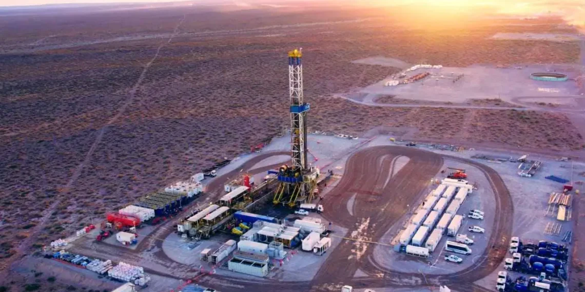 Neuquén se mete entre las provincias que más exportan y la Patagonia gana peso en el comercio exterior