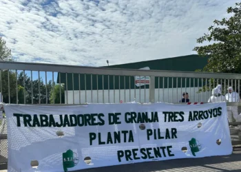 Granja Tres Arroyos ofreció pagar parte de los salarios adeudados con pollos en Pilar