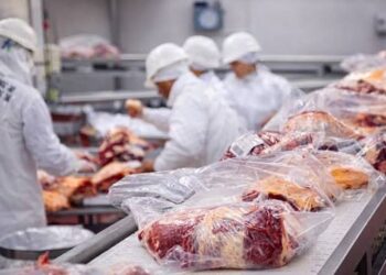 Argentina agotó en nueve meses el cupo de carne vacuna con acceso preferencial a Estados Unidos