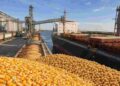 Las exportaciones agroindustriales marcaron un récord y superaron los US$37.500 millones hasta agosto