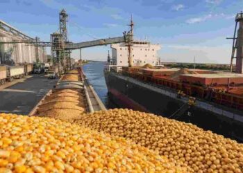 Las exportaciones agroindustriales marcaron un récord y superaron los US$37.500 millones hasta agosto