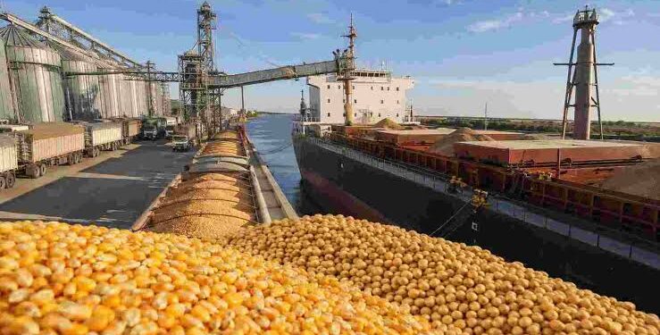 Las exportaciones agroindustriales marcaron un récord y superaron los US$37.500 millones hasta agosto