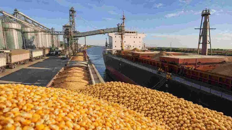 Las exportaciones agroindustriales marcaron un récord y superaron los US$37.500 millones hasta agosto