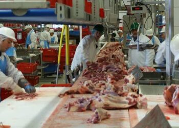 La cadena cárnica busca dar un salto productivo y exportador, pero reclama previsibilidad e inversión