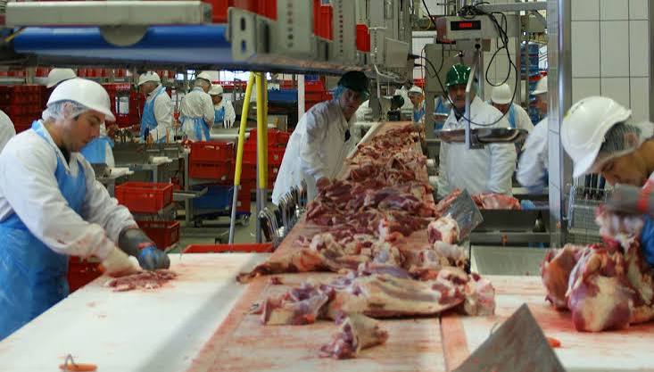 La cadena cárnica busca dar un salto productivo y exportador, pero reclama previsibilidad e inversión