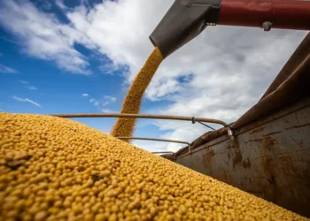 Las ventas de granos superaron las 105 millones de toneladas y marcaron un récord para la campaña agrícola
