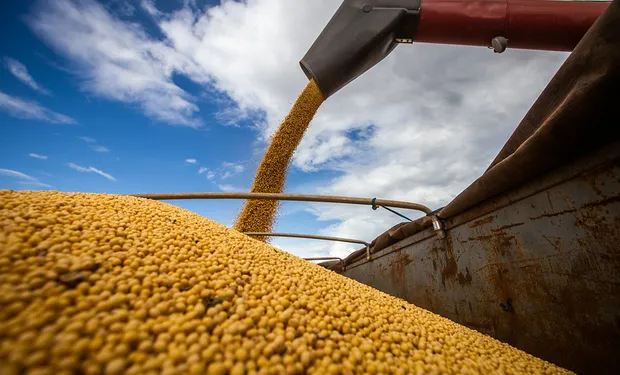 Las ventas de granos superaron las 105 millones de toneladas y marcaron un récord para la campaña agrícola