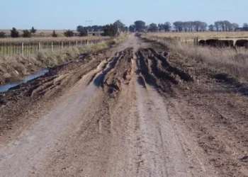 San Pedro: productores reclaman conocer cuánto se recauda y cómo se usan los fondos para los caminos rurales