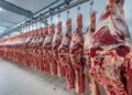 Argentina tiene precios de carne vacuna y pollo entre los más bajos de nueve países