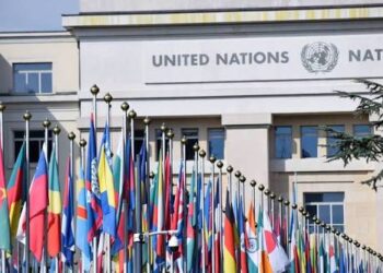 Malvinas: el Gobierno defendió la continuidad del comité de la ONU pese a las diferencias con Estados Unidos
