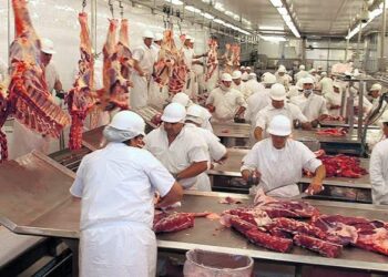 Frigoríficos aplicarán descuentos a la hacienda que no cumpla con las exigencias ambientales de la Unión Europea