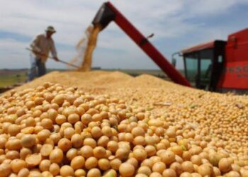 La caída del real brasileño presiona los precios de la soja, el azúcar y el café en los mercados internacionales