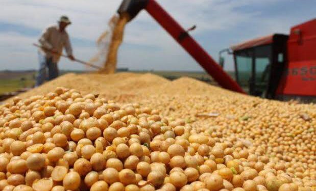 La caída del real brasileño presiona los precios de la soja, el azúcar y el café en los mercados internacionales