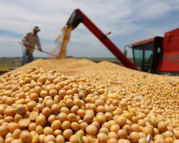 La caída del real brasileño presiona los precios de la soja, el azúcar y el café en los mercados internacionales