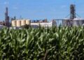 Se demora en Diputados la reforma de biocombustibles por diferencias sobre el futuro de las pymes