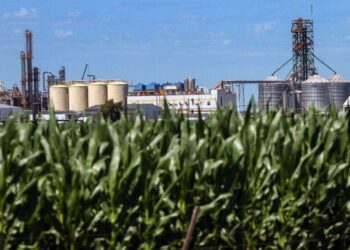 Se demora en Diputados la reforma de biocombustibles por diferencias sobre el futuro de las pymes