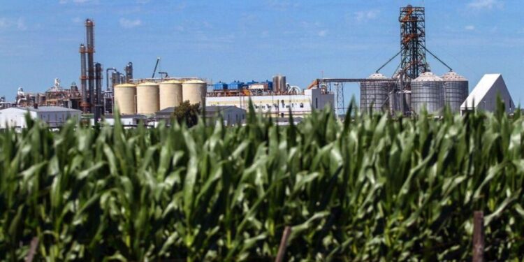 Se demora en Diputados la reforma de biocombustibles por diferencias sobre el futuro de las pymes