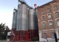 Quilmes reorganizó su estructura regional y apuesta a las exportaciones, la innovación y las cervezas sin alcohol